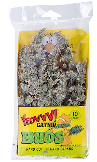 Dried Organic Catnip Flower Buds